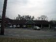 Commercial Real Estate for Lease, Glendale, MO